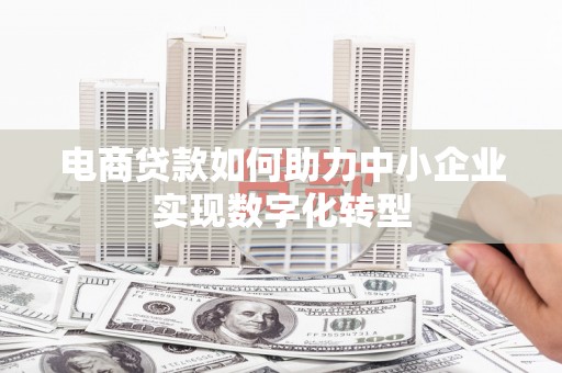 抚远电商贷款如何助力中小企业实现数字化转型