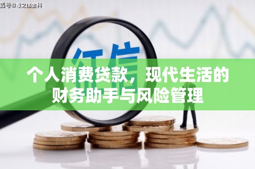 抚远个人消费贷款，现代生活的财务助手与风险管理