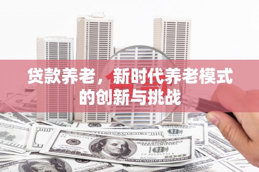 抚远贷款养老，新时代养老模式的创新与挑战