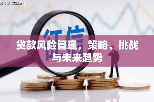 抚远贷款风险管理，策略、挑战与未来趋势