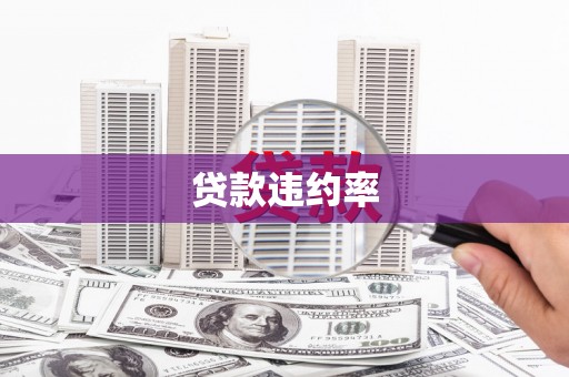 抚远贷款违约率