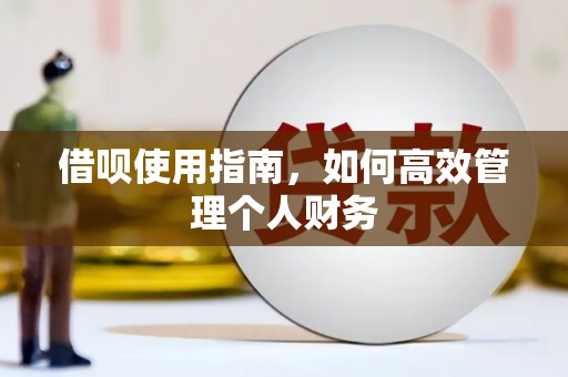 抚远借呗使用指南，如何高效管理个人财务