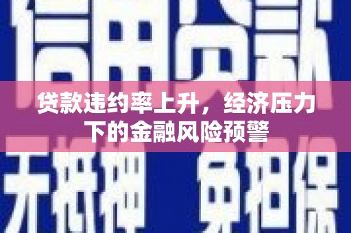 抚远贷款违约率上升，经济压力下的金融风险预警