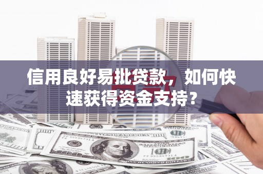 抚远信用良好易批贷款，如何快速获得资金支持？