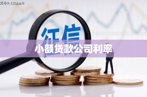 抚远小额贷款公司利率