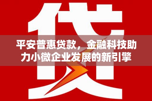抚远平安普惠贷款，金融科技助力小微企业发展的新引擎