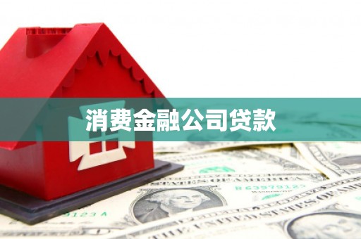 抚远消费金融公司贷款