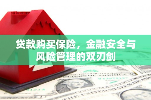 抚远贷款购买保险，金融安全与风险管理的双刃剑