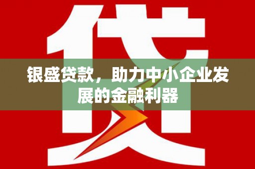 抚远银盛贷款，助力中小企业发展的金融利器