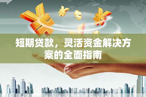 抚远短期贷款，灵活资金解决方案的全面指南