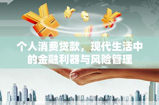 抚远个人消费贷款，现代生活中的金融利器与风险管理