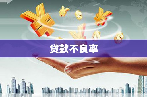 抚远贷款不良率
