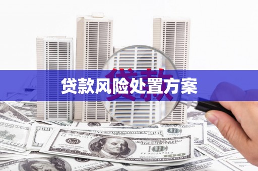 抚远贷款风险处置方案