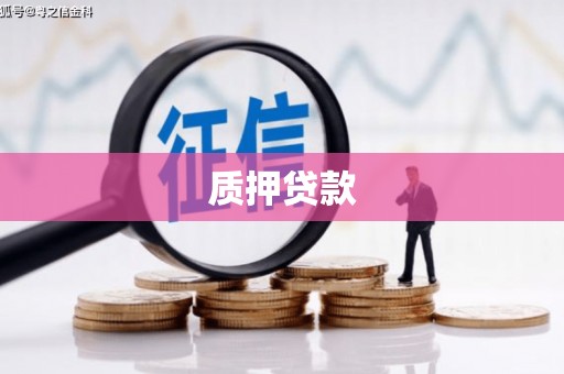 抚远质押贷款