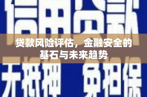 抚远贷款风险评估，金融安全的基石与未来趋势