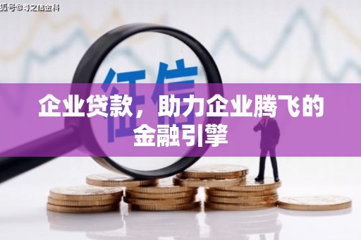抚远企业贷款，助力企业腾飞的金融引擎