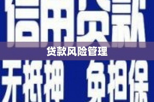 抚远贷款风险管理