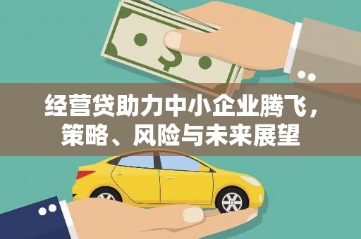 抚远经营贷助力中小企业腾飞，策略、风险与未来展望