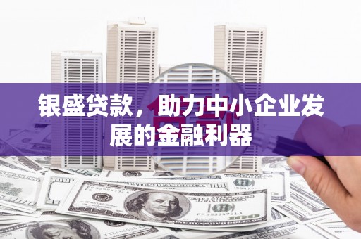 抚远银盛贷款，助力中小企业发展的金融利器