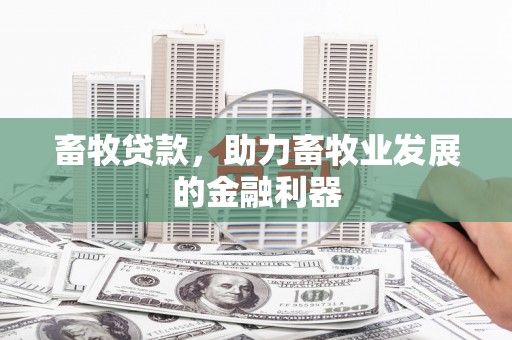 抚远畜牧贷款，助力畜牧业发展的金融利器