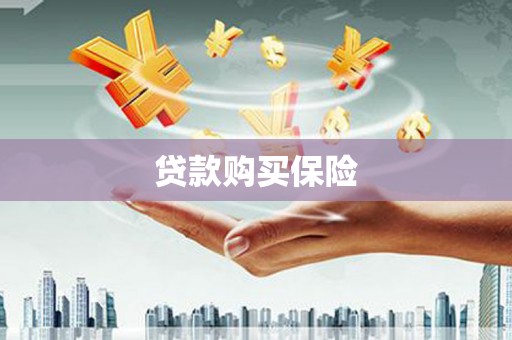 抚远贷款购买保险