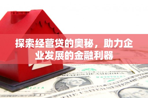 抚远探索经营贷的奥秘，助力企业发展的金融利器