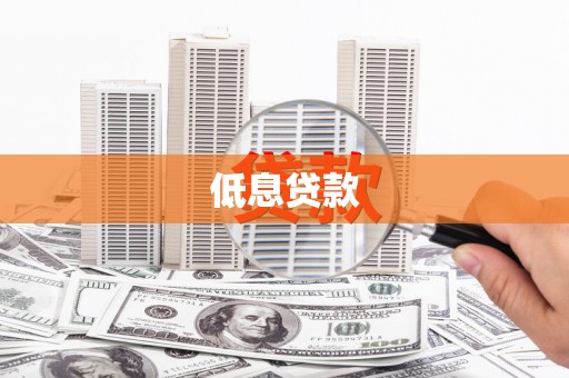 抚远低息贷款