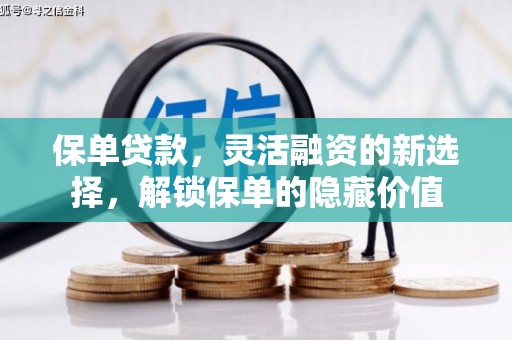 抚远保单贷款，灵活融资的新选择，解锁保单的隐藏价值