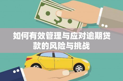 抚远如何有效管理与应对逾期贷款的风险与挑战