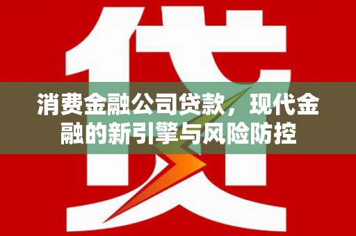 抚远消费金融公司贷款，现代金融的新引擎与风险防控