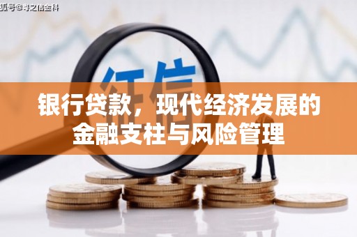 抚远银行贷款，现代经济发展的金融支柱与风险管理