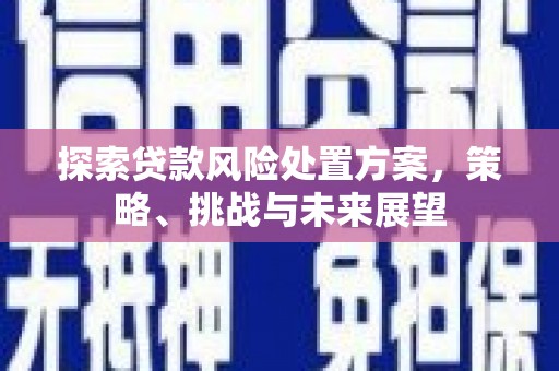 抚远探索贷款风险处置方案，策略、挑战与未来展望