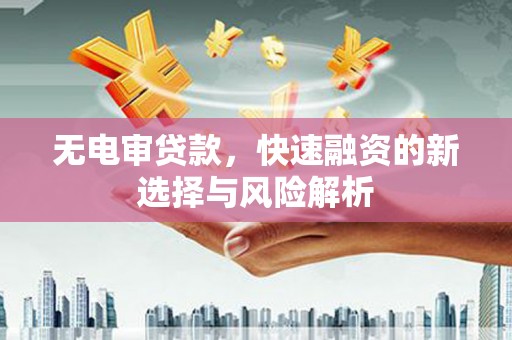 抚远无电审贷款，快速融资的新选择与风险解析