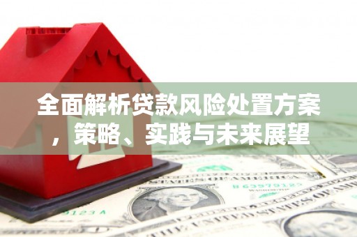 抚远全面解析贷款风险处置方案，策略、实践与未来展望