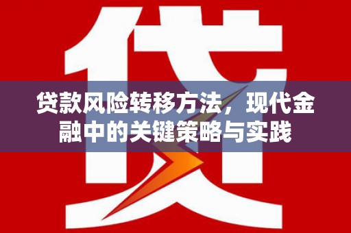抚远贷款风险转移方法，现代金融中的关键策略与实践