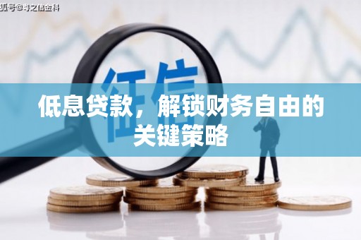抚远低息贷款，解锁财务自由的关键策略