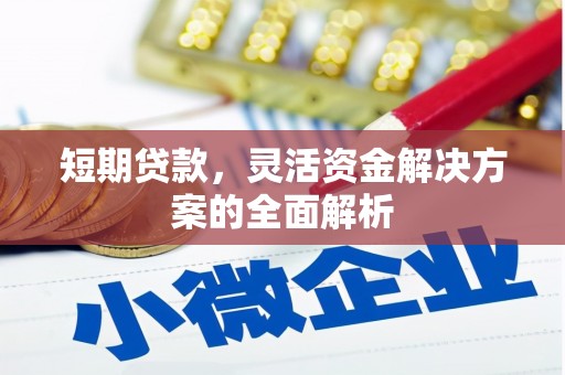 抚远短期贷款，灵活资金解决方案的全面解析
