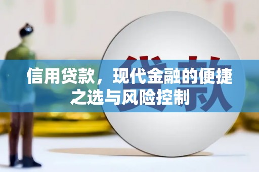 抚远信用贷款，现代金融的便捷之选与风险控制