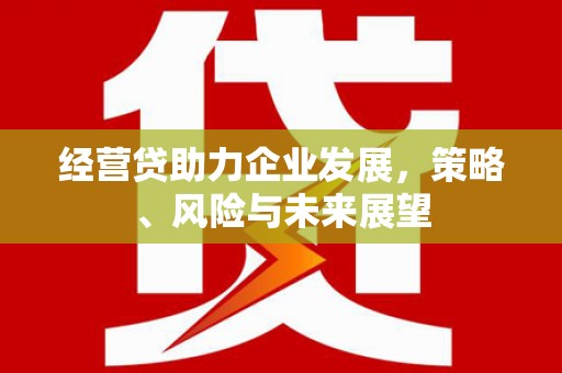 抚远经营贷助力企业发展，策略、风险与未来展望