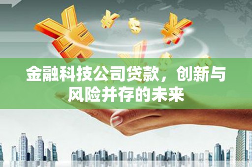 抚远金融科技公司贷款，创新与风险并存的未来