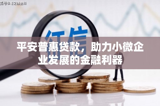 抚远平安普惠贷款，助力小微企业发展的金融利器