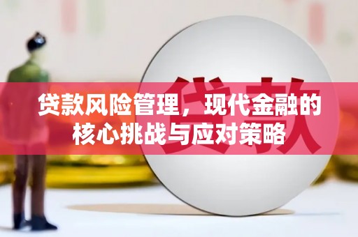 抚远贷款风险管理，现代金融的核心挑战与应对策略
