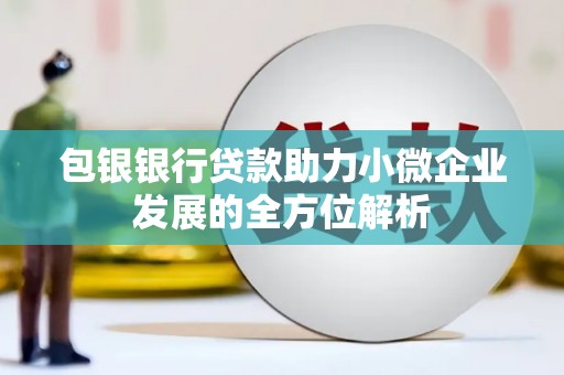 抚远包银银行贷款助力小微企业发展的全方位解析