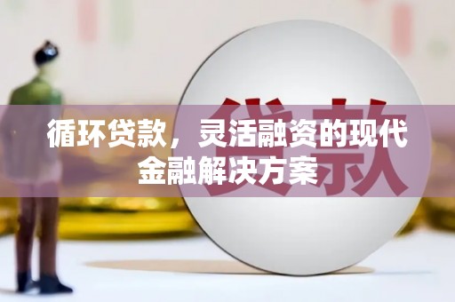 抚远循环贷款，灵活融资的现代金融解决方案