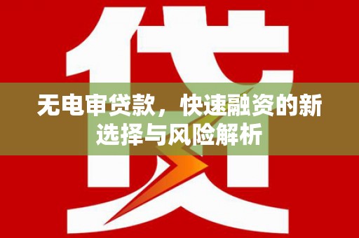 抚远无电审贷款，快速融资的新选择与风险解析