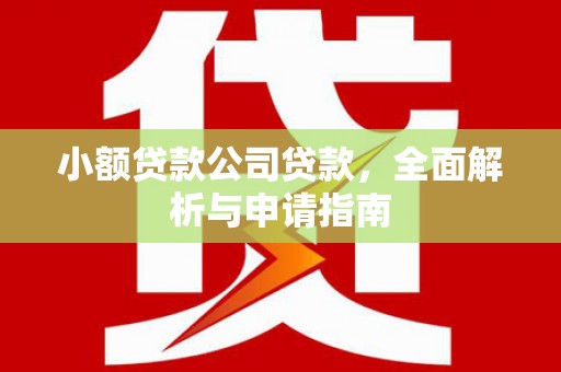 抚远小额贷款公司贷款，全面解析与申请指南
