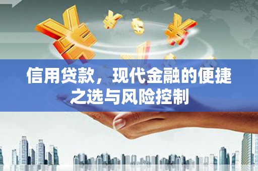 抚远信用贷款，现代金融的便捷之选与风险控制