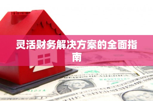 抚远灵活财务解决方案的全面指南