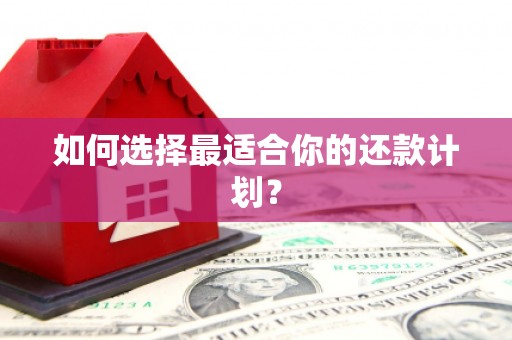抚远如何选择最适合你的还款计划？