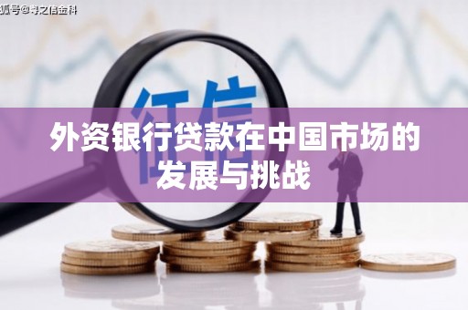 抚远外资银行贷款在中国市场的发展与挑战